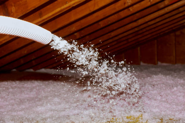 Best Geographic-Specific Insulation Services in Adwolf, VA