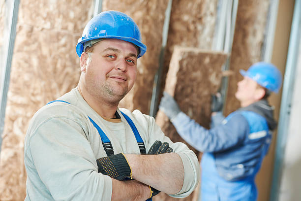 Best Cellulose Insulation in Adwolf, VA