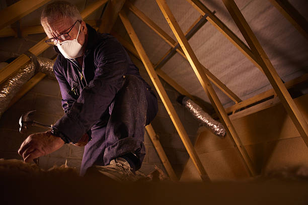 Trusted Adwolf, VA Insulation Contractor Experts