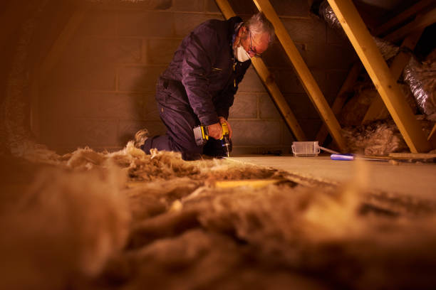 Best Cellulose Insulation in Adwolf, VA